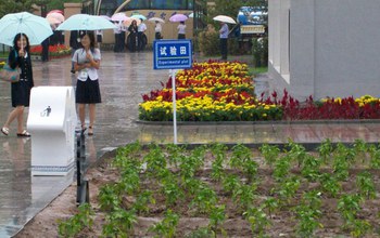 Gardens in China